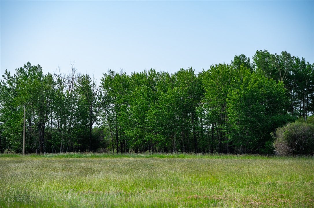 120 Cooney Road Roberts, MT 59070 - Photo 14 of 27 Gallery Image 14