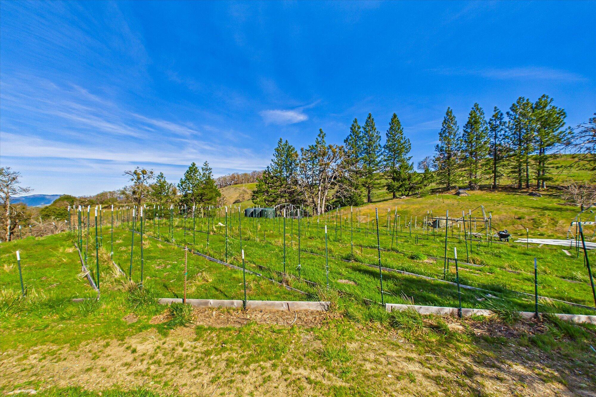 1960 Burr Valley Road Bridgeville, CA 95526 - Photo 40 of 63