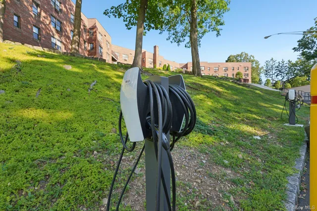 a view of a yard in front of a house with a yard