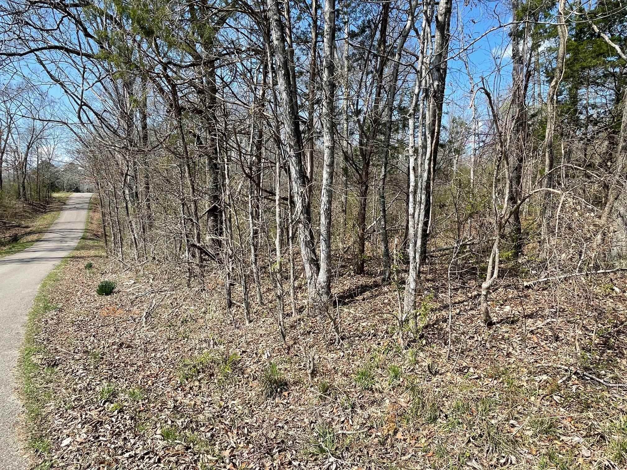 0 Delaney Loop Adamsville, TN 38310 - Photo 1 of 10 Gallery Image 1