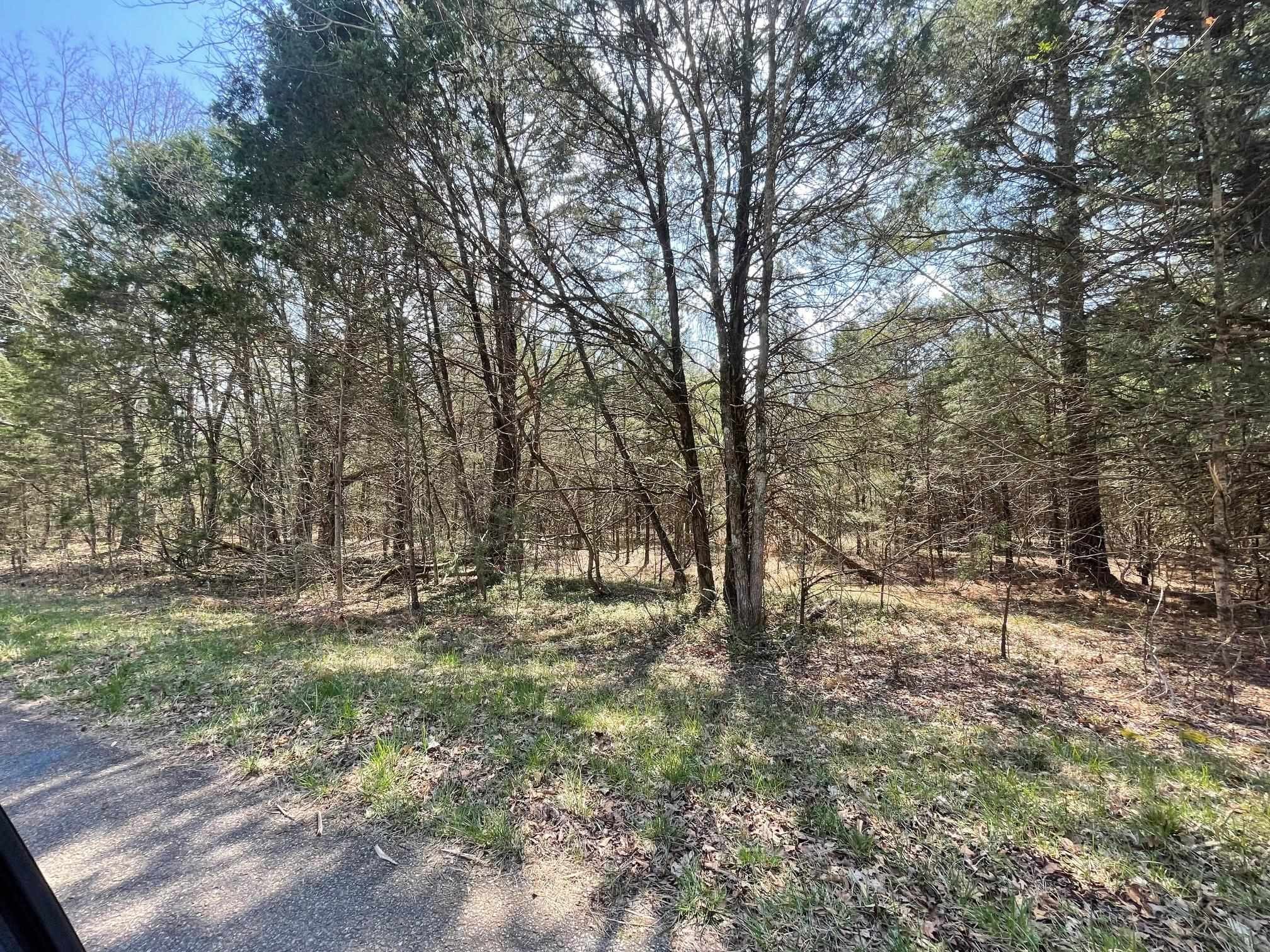 0 Delaney Loop Adamsville, TN 38310 - Photo 8 of 10 Gallery Image 8