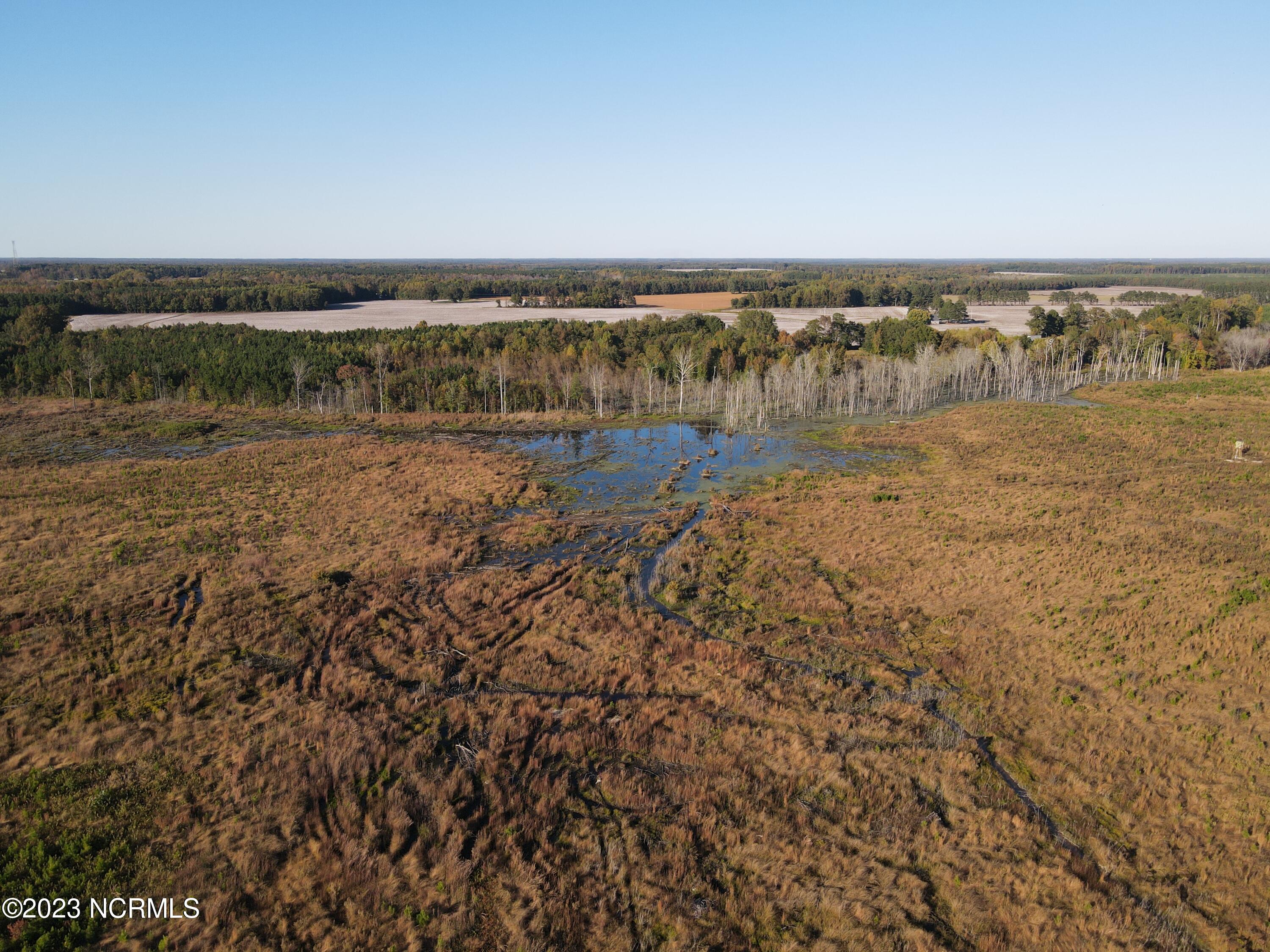 Tbd Tower Road Margarettsville, NC 27853 - Photo 2 of 25 DJI_0416