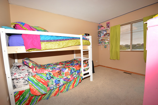 1709 Cascade Ridge Drive Plainfield, IL 60586 - Photo 12 of 21 Gallery Image 12