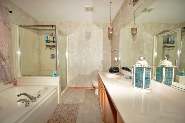 1709 Cascade Ridge Drive Plainfield, IL 60586 - Photo 5 of 21 Gallery Image 5