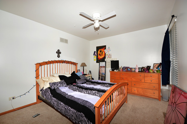 1709 Cascade Ridge Drive Plainfield, IL 60586 - Photo 10 of 21 Gallery Image 10