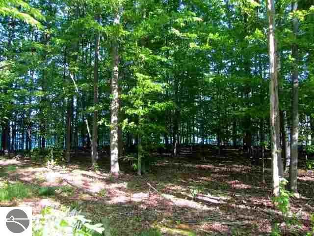 1 Bush Road Interlochen, MI 49643 - Photo 5 of 17 1776730-4.JPG