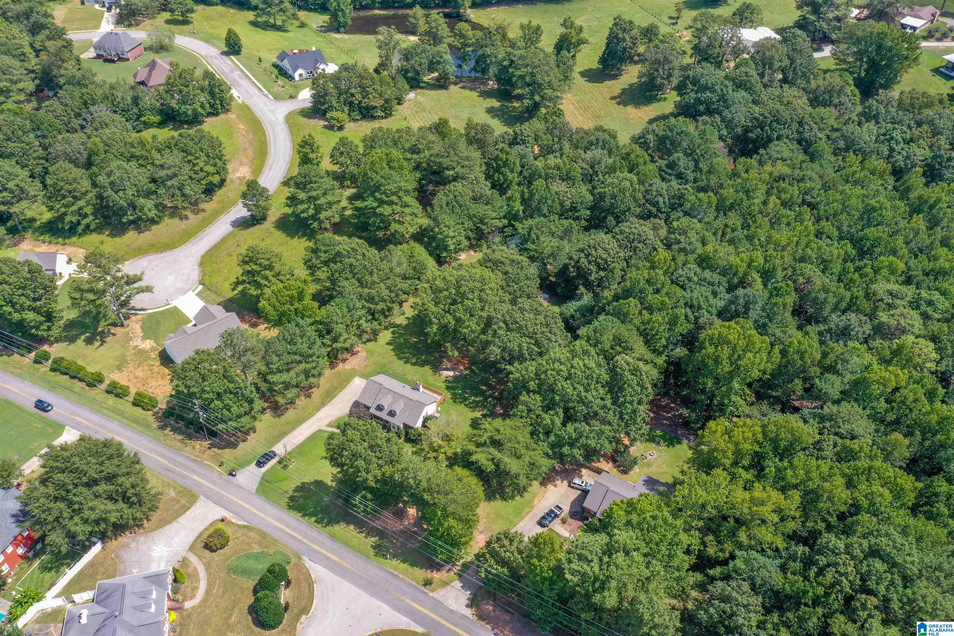 7683 Clayton Road Pinson, AL 35126 - Photo 48 of 53