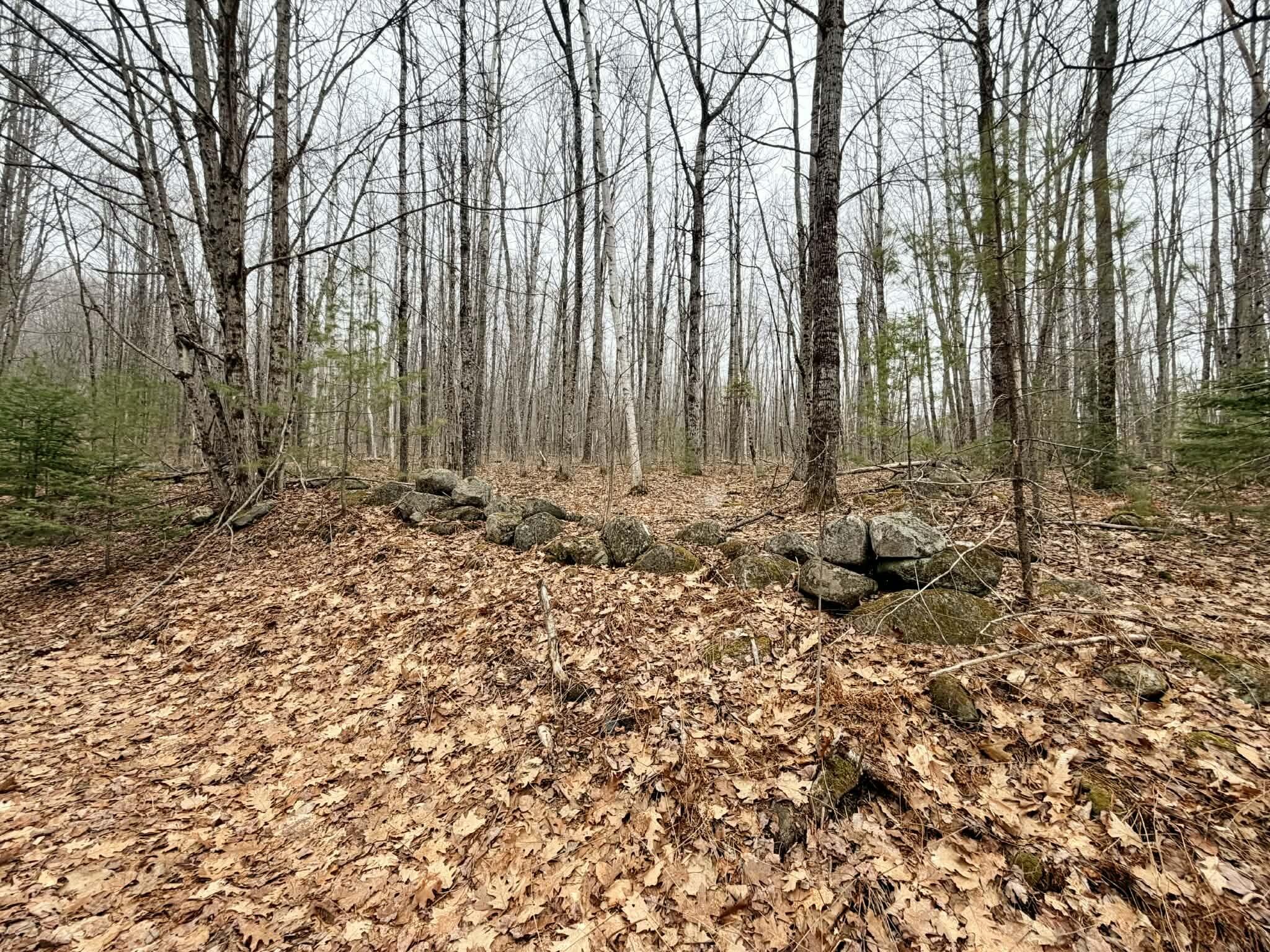 24 Blueberry Hill Road Chesterville, ME 04938 - Photo 28 of 31 Rock Wall