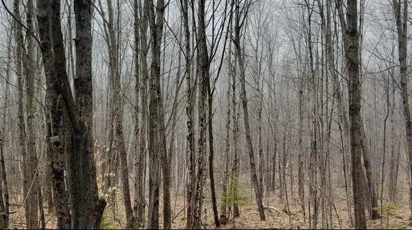 $140,000 | 24 Blueberry Hill Road, Chesterville, ME 04938