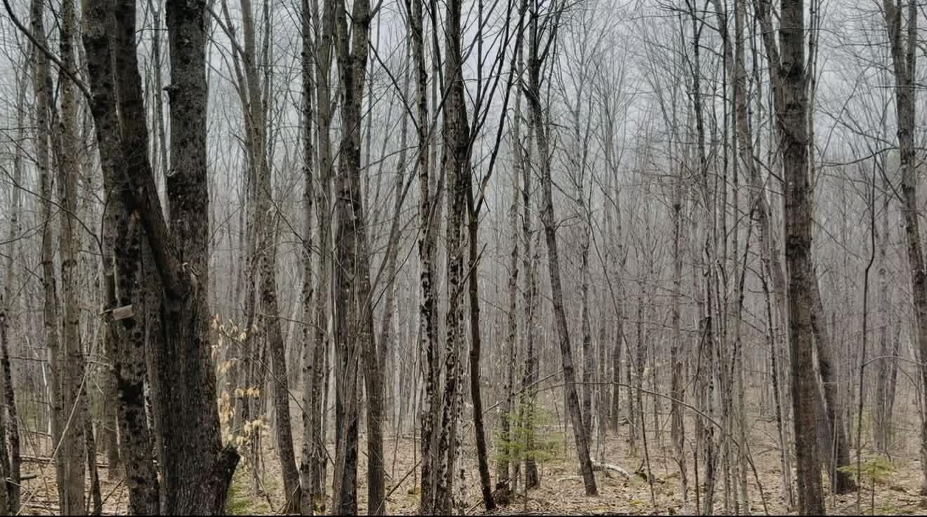 24 Blueberry Hill Road Chesterville, ME 04938 - Photo 30 of 31 12 Acres