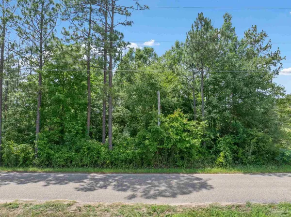 $59,000 | Lot 53 Mineral Springs Road, Jay, FL 32565