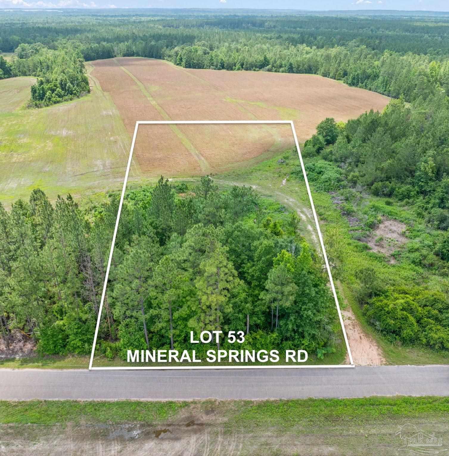 Lot 53 Mineral Springs Road Jay, FL 32565 - Photo 2 of 3