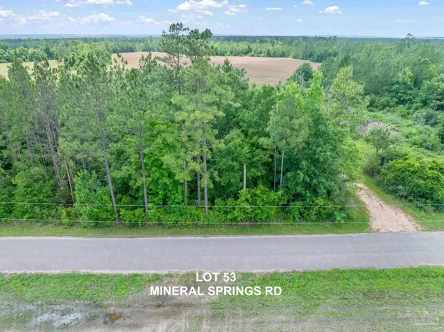 $59,000 | Lot 53 Mineral Springs Road, Jay, FL 32565