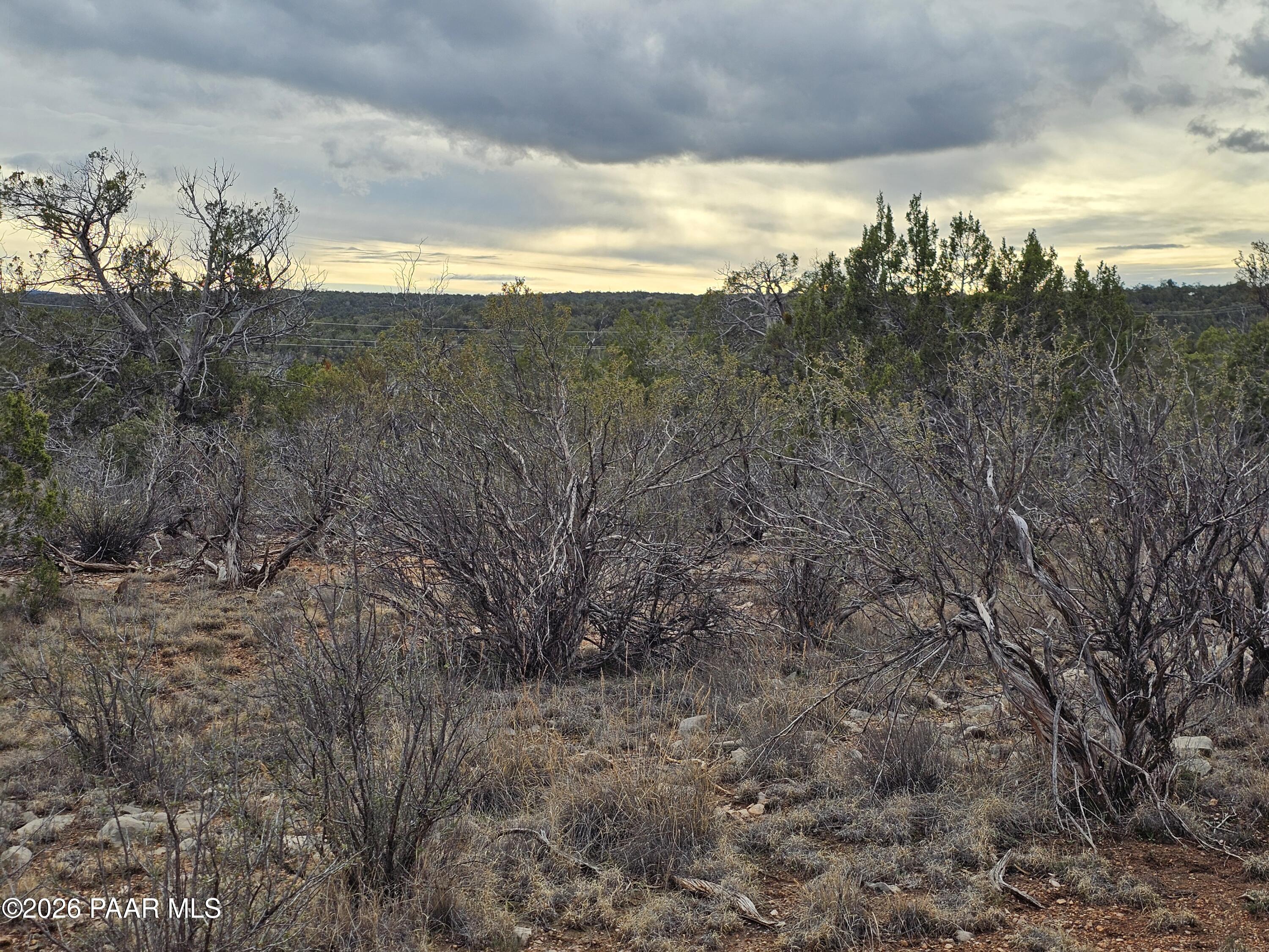 32667 West Conejo Road Seligman, AZ 86337 - Photo 3 of 8 a view of a dry yard with lots of green space