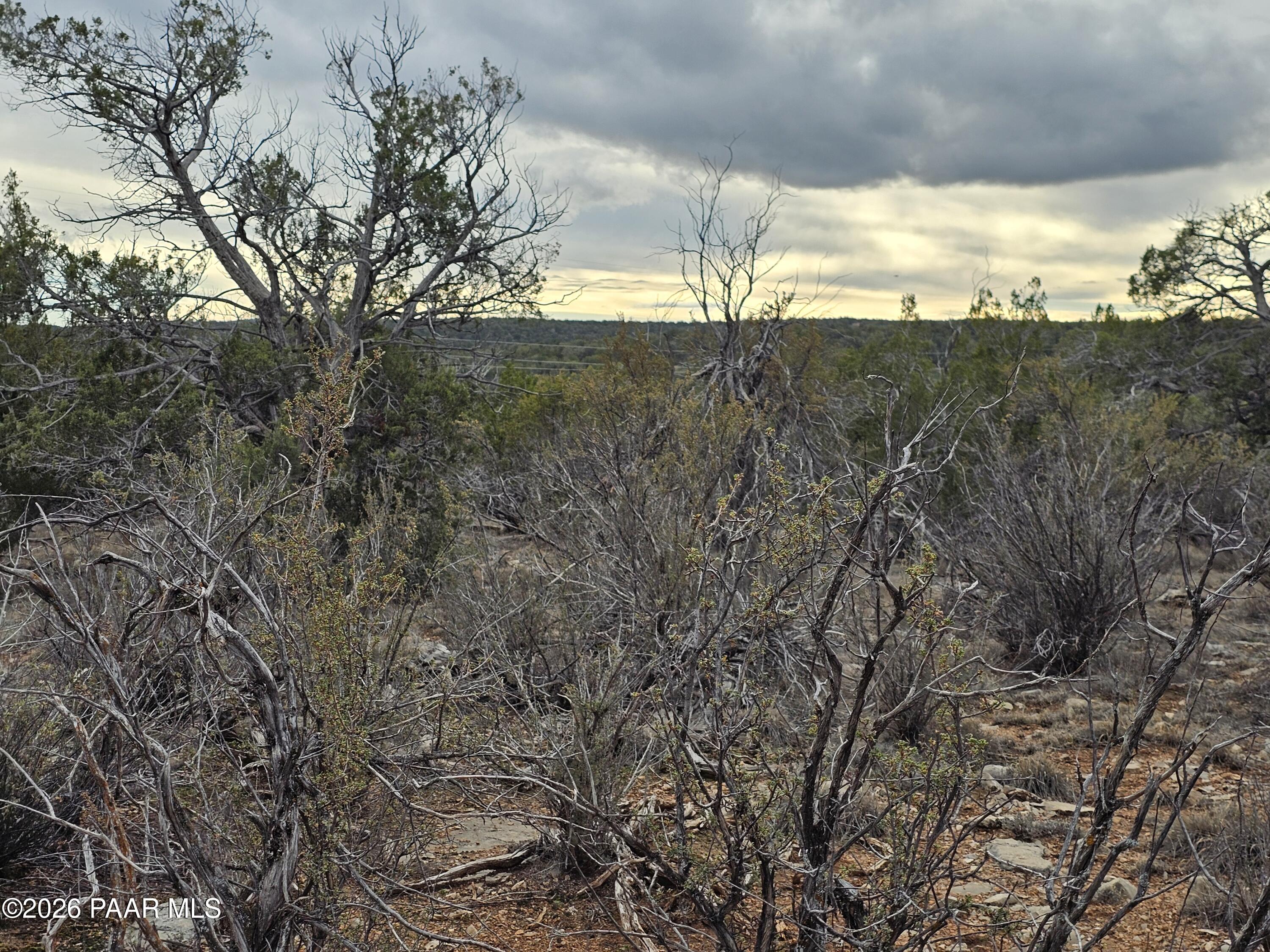 32667 West Conejo Road Seligman, AZ 86337 - Photo 4 of 8 a view of an ocean