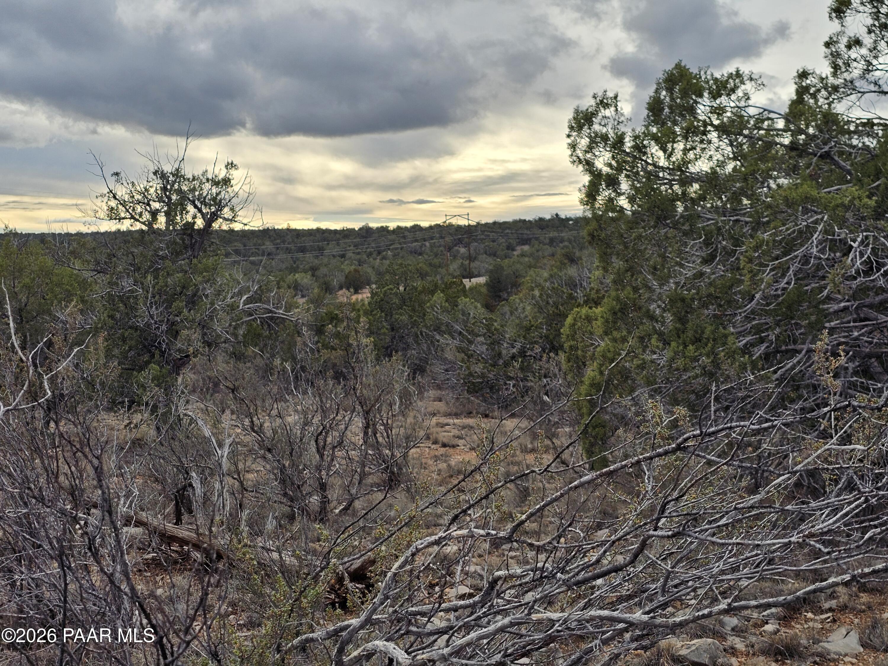 32667 West Conejo Road Seligman, AZ 86337 - Photo 5 of 8 a view of a sky from a yard