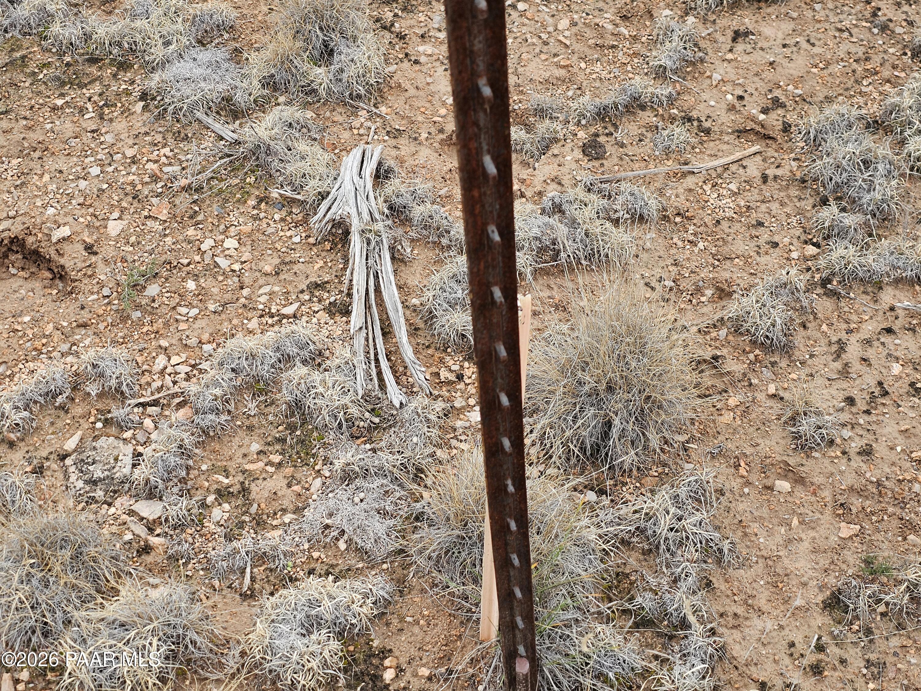 32667 West Conejo Road Seligman, AZ 86337 - Photo 8 of 8 a view of a yard with a tree