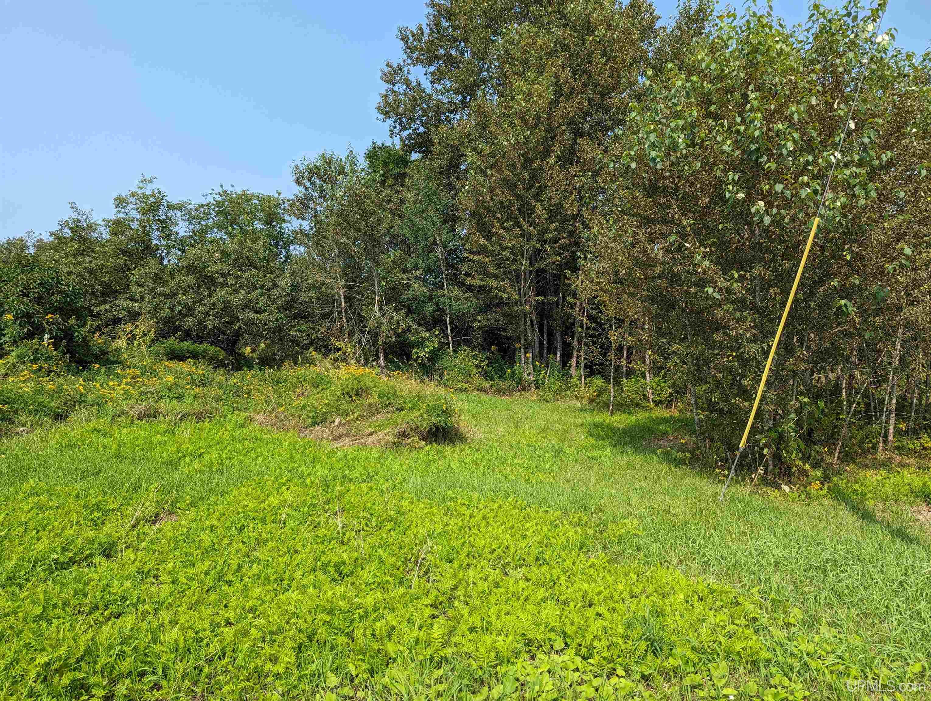 Tbd Tbd Co Road Ishpeming, MI 49849 - Photo 4 of 10