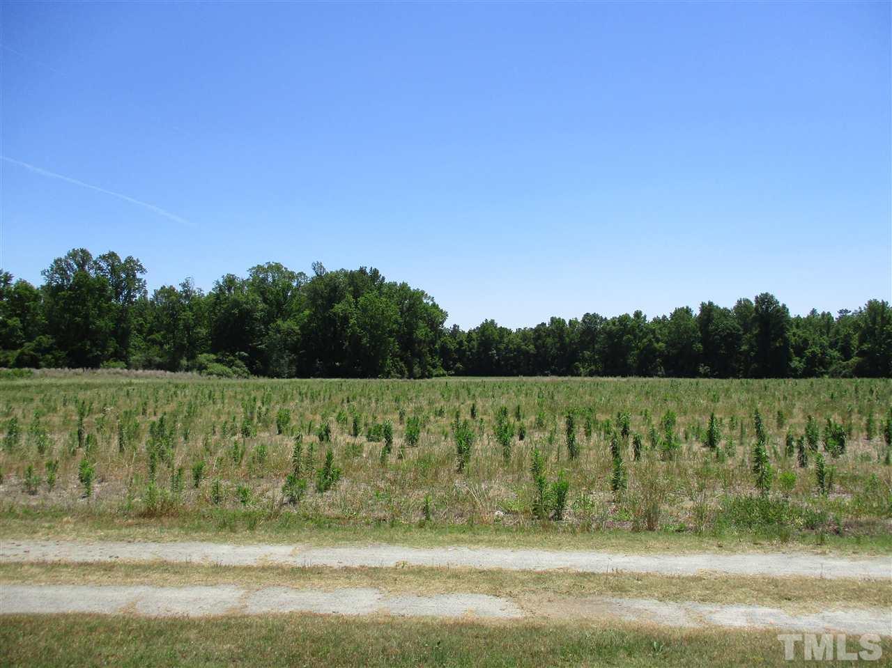 4570 Rains Crossroads Road Princeton, NC 27569 - Photo 21 of 22 Gallery Image 21