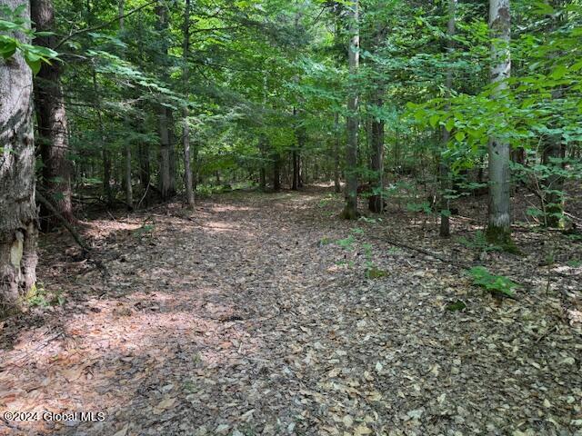 L2.112 Parker Road Corinth, NY 12822 - Photo 16 of 17 IMG_0076