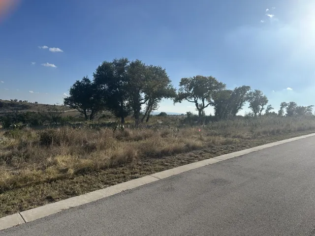a view of a forest from a yard