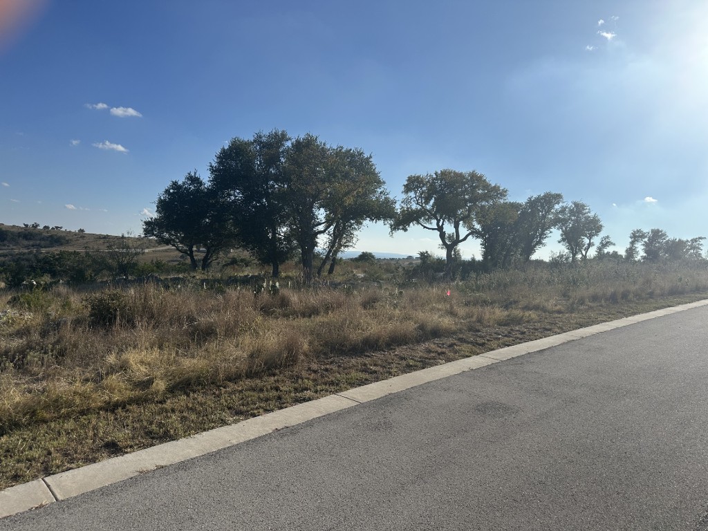 350 Big Creek Drive Kingsland, TX 78639 - Photo 3 of 5 a view of a forest from a yard