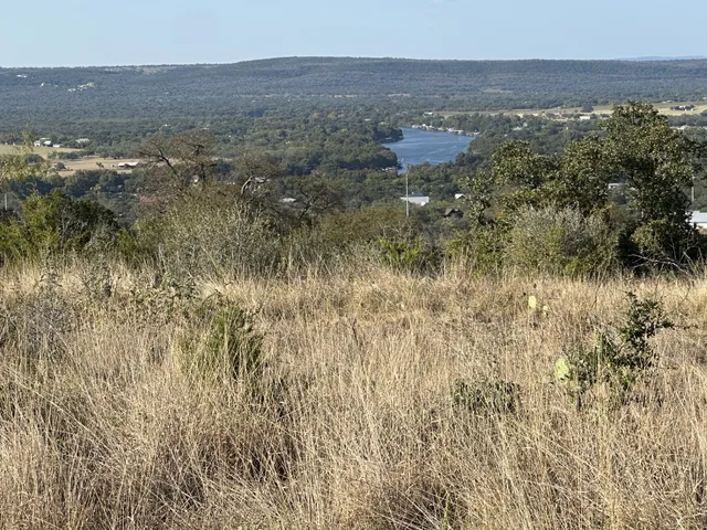 a view of a bunch of trees in a house