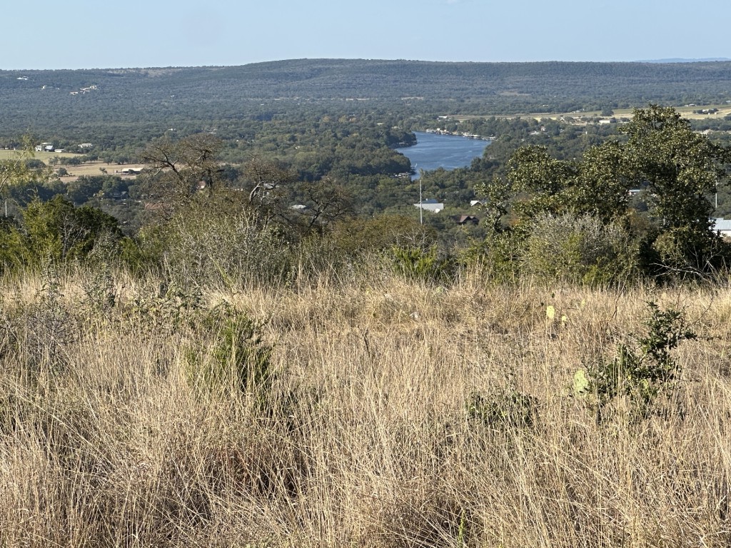 350 Big Creek Drive Kingsland, TX 78639 - Photo 4 of 5 a view of a bunch of trees in a house