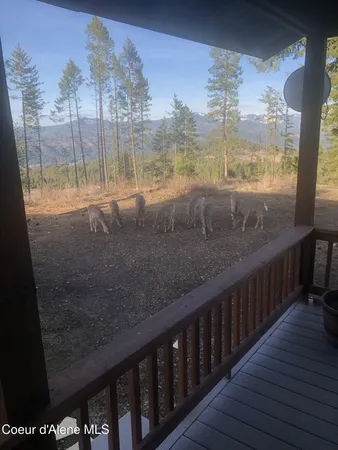 $975,000 | 1600 Patches Lane, St. Maries, ID 83861