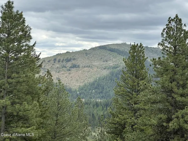 $975,000 | 1600 Patches Lane, St. Maries, ID 83861