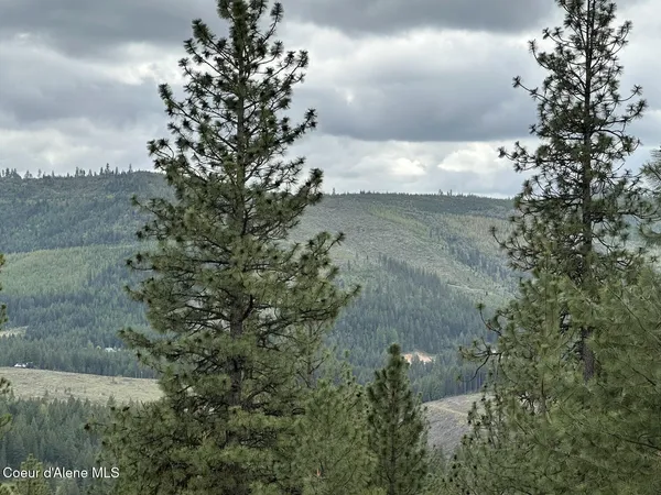 $975,000 | 1600 Patches Lane, St. Maries, ID 83861