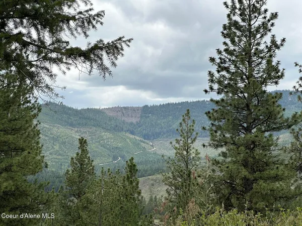 $975,000 | 1600 Patches Lane, St. Maries, ID 83861