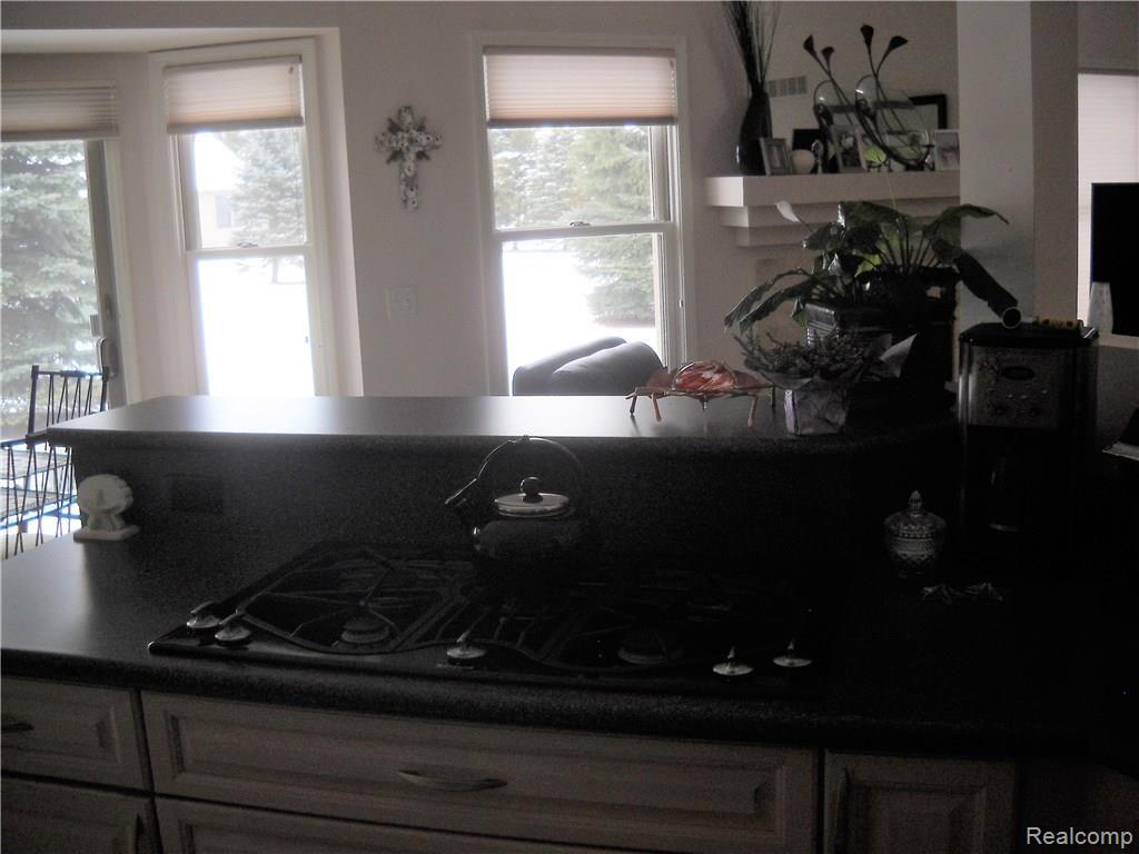 22451 Timber Ridge Court Woodhaven, MI 48183 - Photo 10 of 26