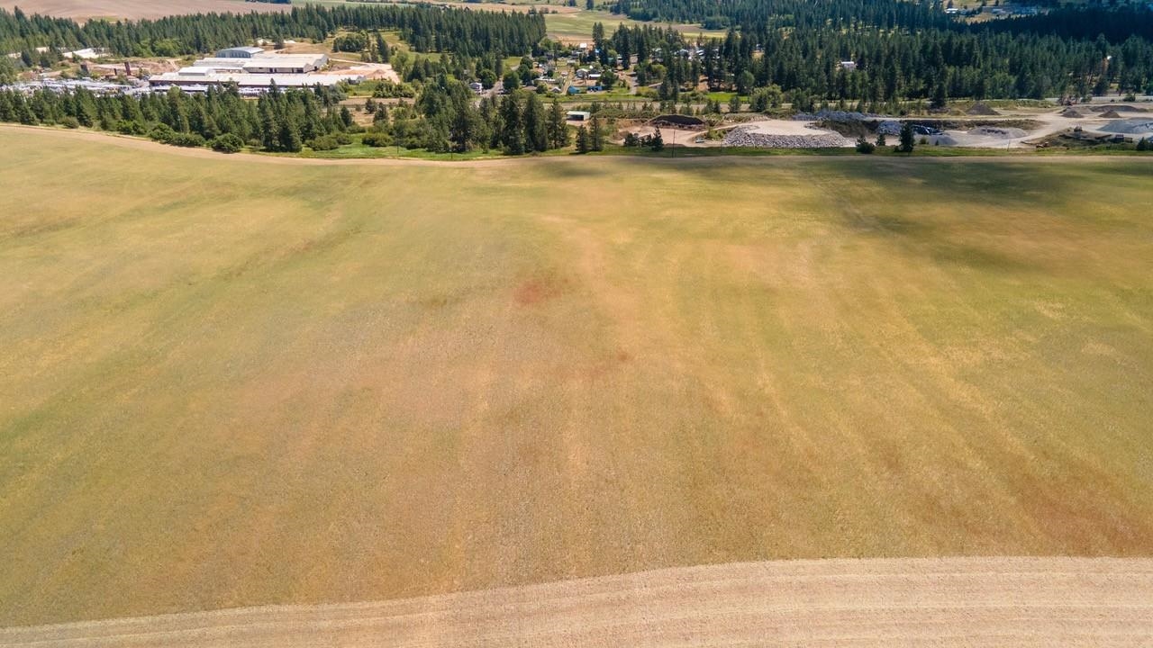 13507 East Gibbs Road Mica, WA 99023 - Photo 8 of 12