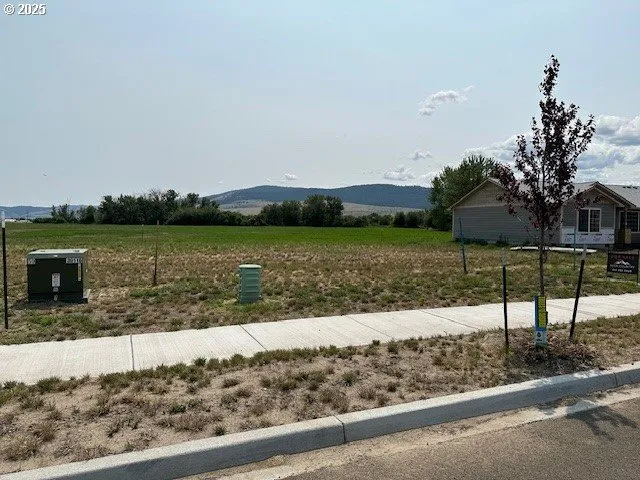 a view of a lake with a garden