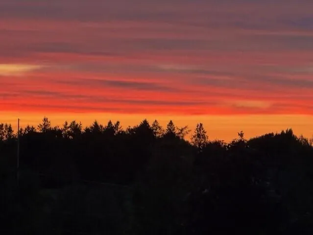 $717,000 | 435 Centerline Road, Presque Isle, ME 04769