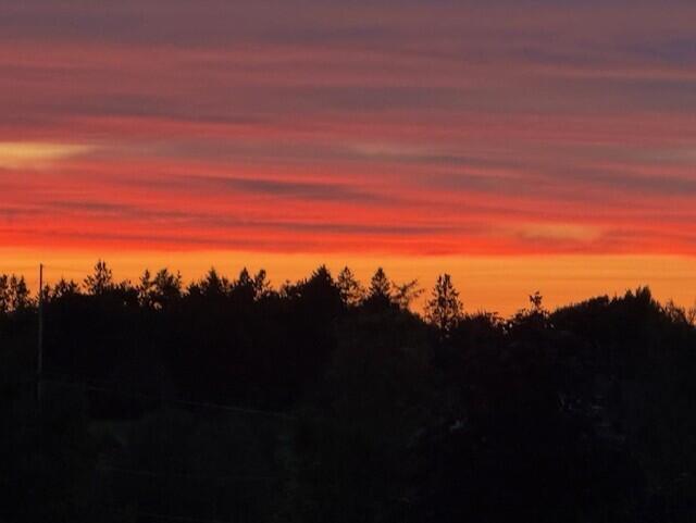 435 Centerline Road Presque Isle, ME 04769 - Photo 61 of 127 thumbnail_IMG_7217