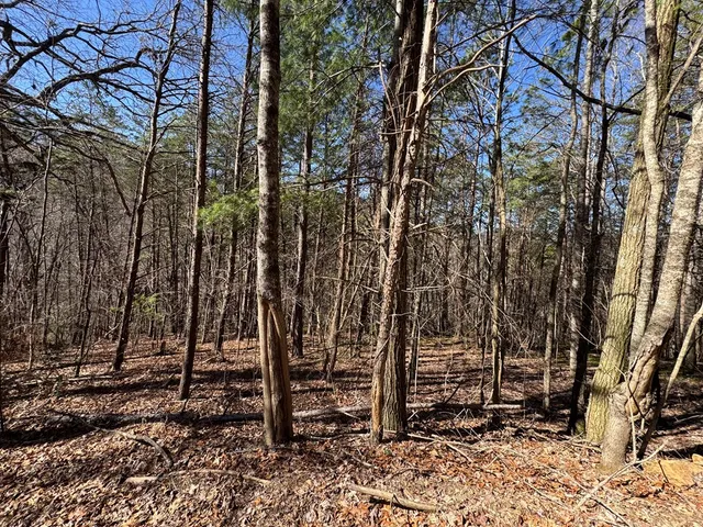 a view of a yard with wooden fence