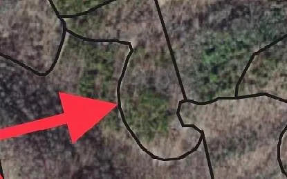 a view of a yard with trees