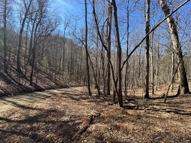 a view of covered with snow