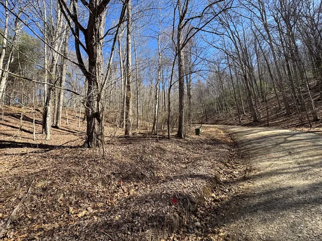 a view of outdoor space and tree