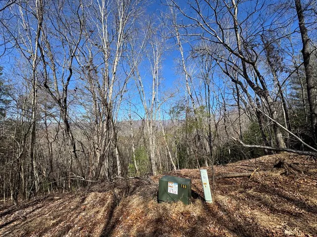 a view of a backyard of the house