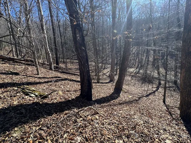 a backyard of a house