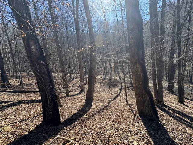 a backyard of a house