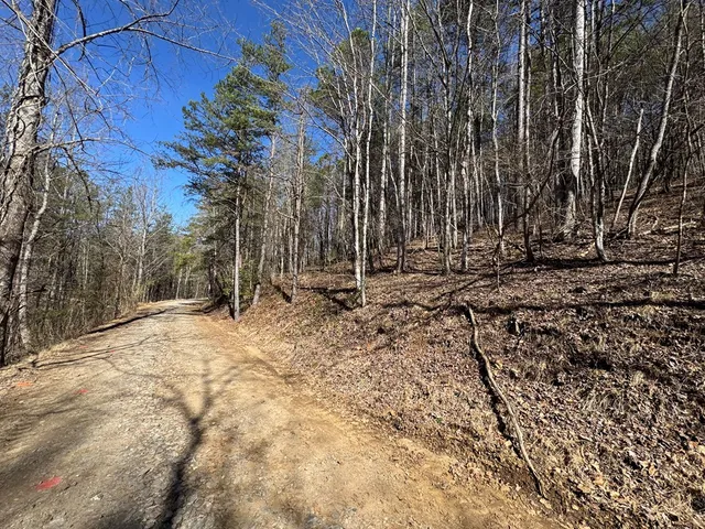 a view of a backyard of the house