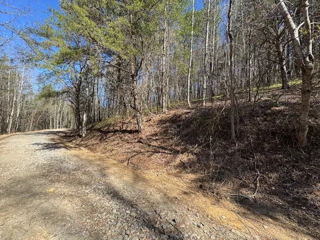 a view of a yard covered with snow in the yard