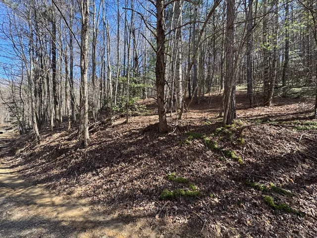 a view of a backyard of the house