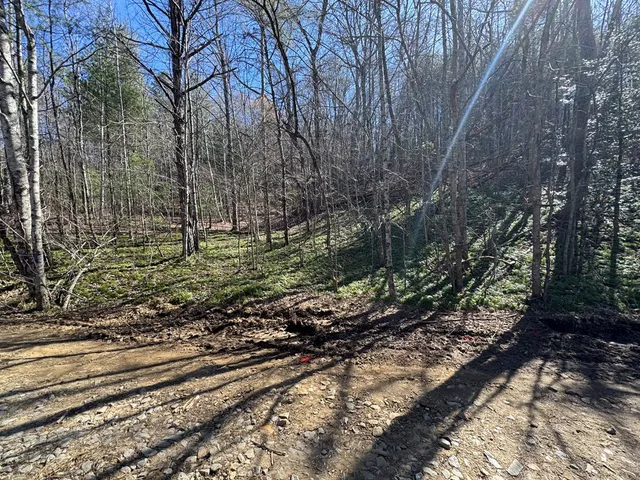 $75,000 | 2 Crockett Mountain Lane, Hayesville, NC 28904