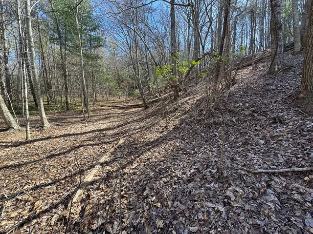 $75,000 | 2 Crockett Mountain Lane, Hayesville, NC 28904