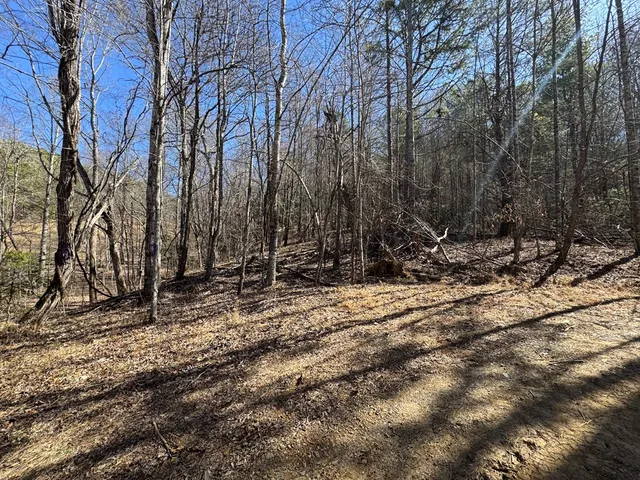 $75,000 | 2 Crockett Mountain Lane, Hayesville, NC 28904